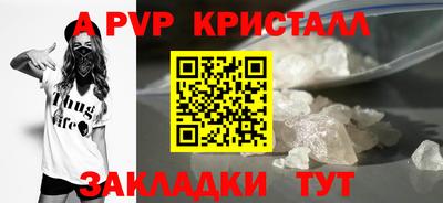 spice Кунгур