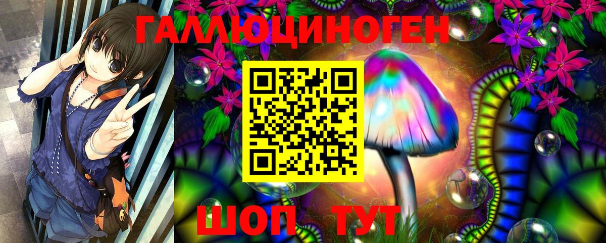 Галлюциногенные грибы Psilocybine cubensis  Вход с VPN  Киселёвск 